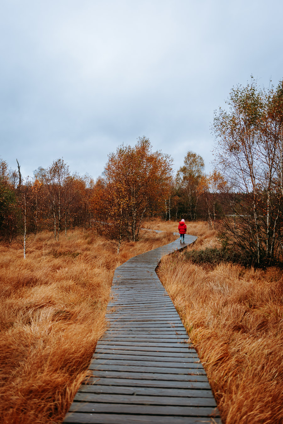 Der Weg führt um die Kurve