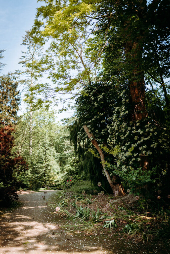 Ein dicht bewachsender Weg führt uns vom Zentrum weiter in Richtung Rhododendron-Schlucht