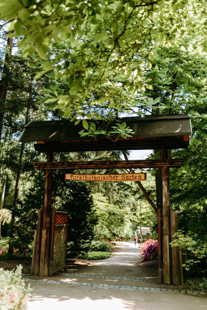 Der große hölzerne Torbogen mit Blick auf den japanischen Teil des Forstbotanischen Gartens.