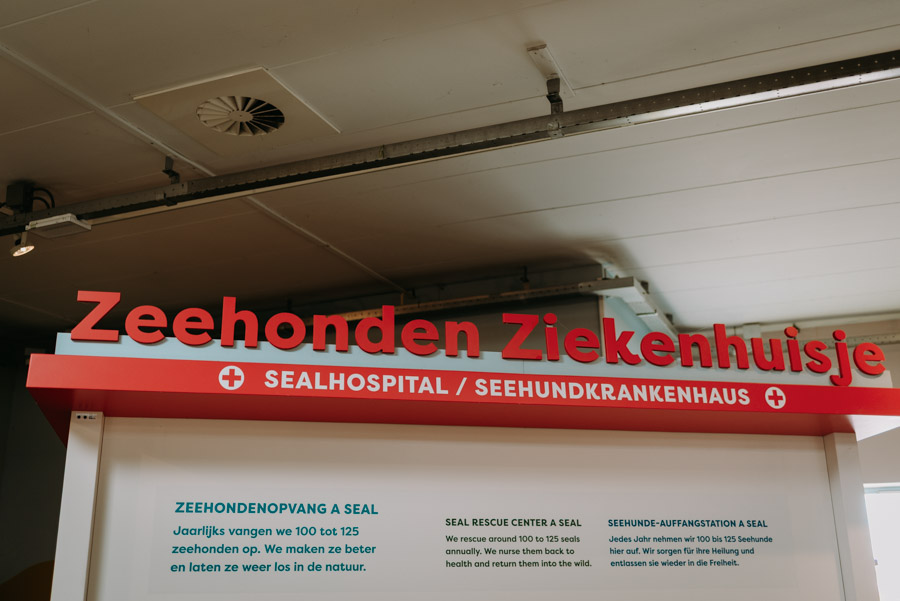 Schriftzug Seehundkrankenhaus und Infotexte