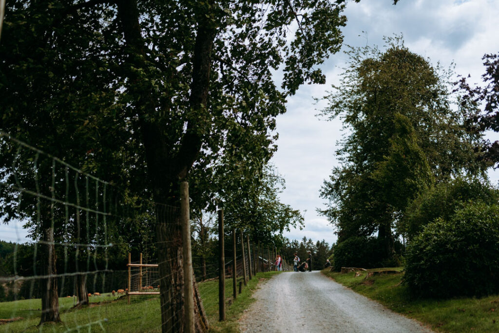 Weg durch den Wildpark