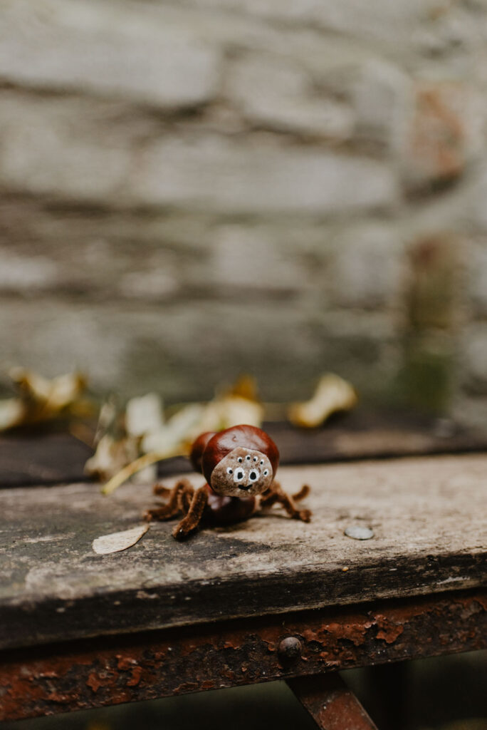 Nahaufnahme einer gebastelten Spinne aus Kastanien mit aufgemalten Augen, die auf einer rustikalen Holzoberfläche sitzt.