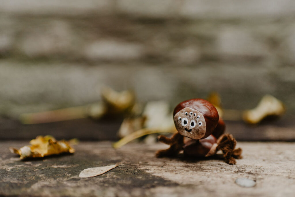 Eine aus Kastanien und Pfeifenreinigern gebastelte Spinne mit vielen Augen sitzt auf einer verwitterten Holzbank, im Hintergrund eine unscharfe Ziegelwand.