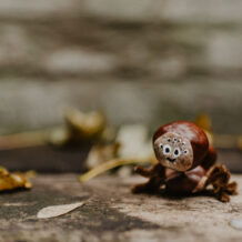 Eine aus Kastanien und Pfeifenreinigern gebastelte Spinne mit vielen Augen sitzt auf einer verwitterten Holzbank, im Hintergrund eine unscharfe Ziegelwand.