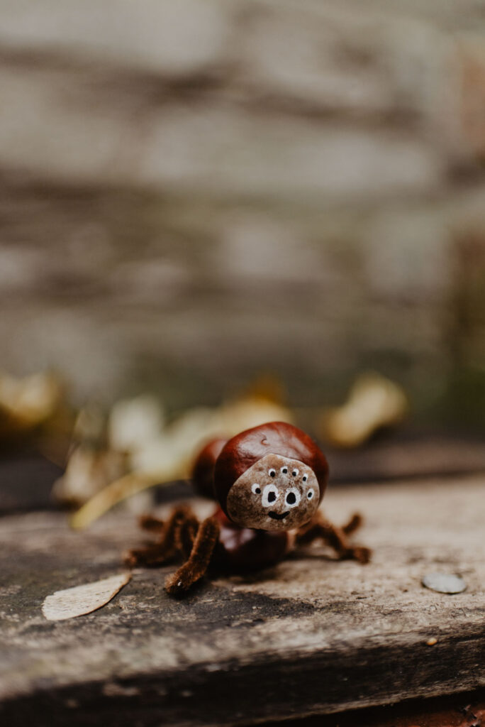 Eine niedliche, aus Kastanien gebastelte Spinne mit lustigen Augen sitzt auf einem Holzbalken, umgeben von Herbstlaub.