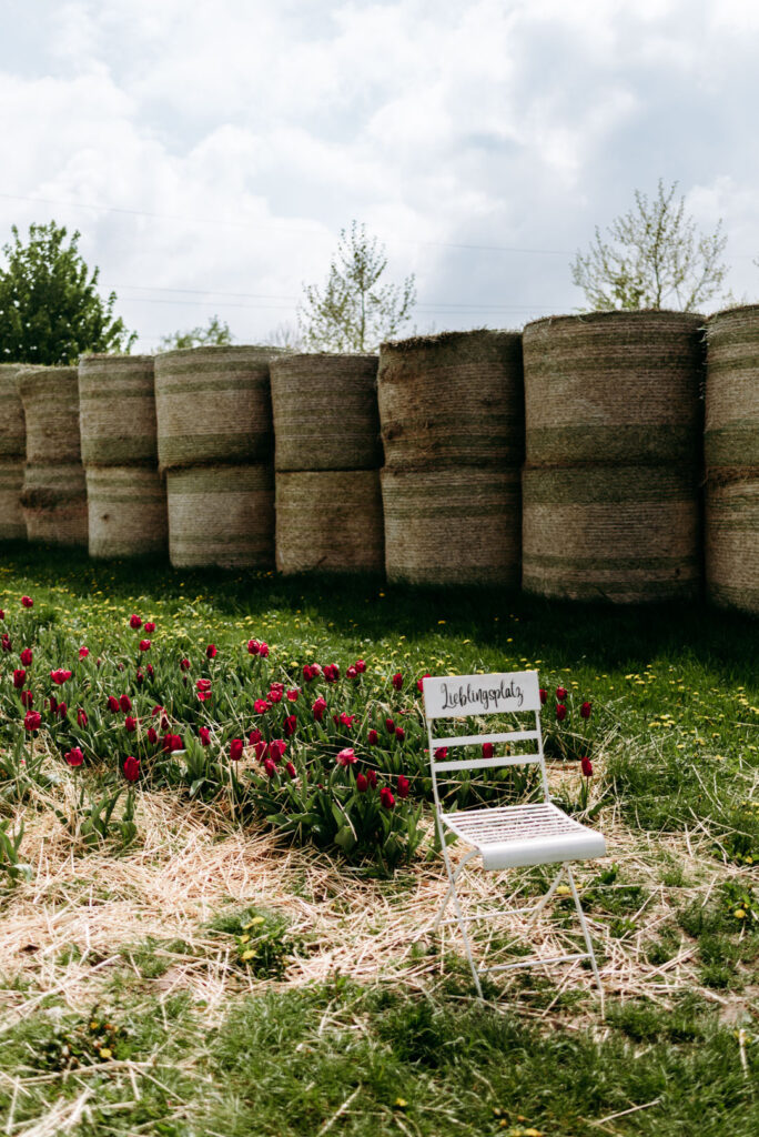 Weißer Stuhl mit der Aufschrift „Lieblingsplatz“ vor roten Tulpen und Strohballen
